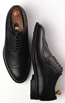 フルブローグダービー